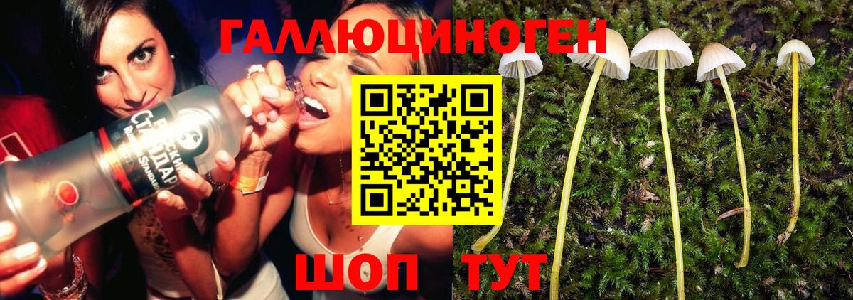 Галлюциногенные грибы мухоморы  Вход с VPN  Саяногорск  Псилоцибиновые грибы MAGIC MUSHROOMS 